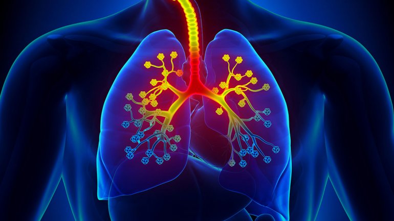 肺癌表皮生长因子受体 (EGFR) 突变治疗