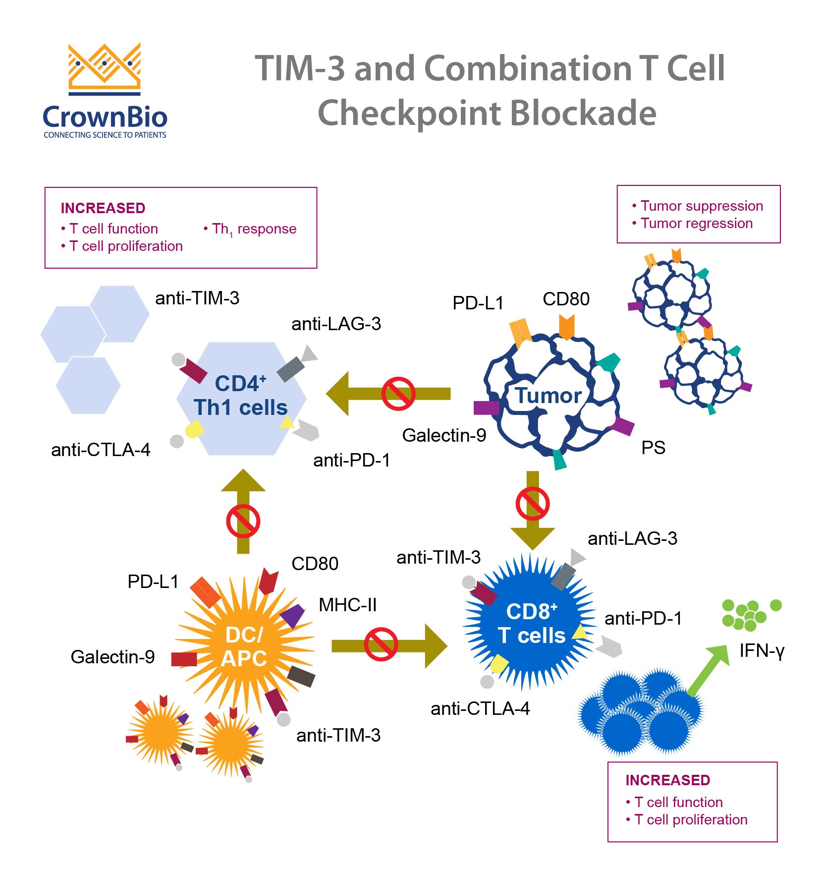 TIM-3 之免疫检查点抑制剂的未来