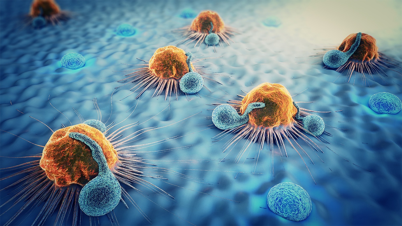 题目：靶向骨髓来源的抑制细胞（MDSCs）在免疫肿瘤学上的应用
