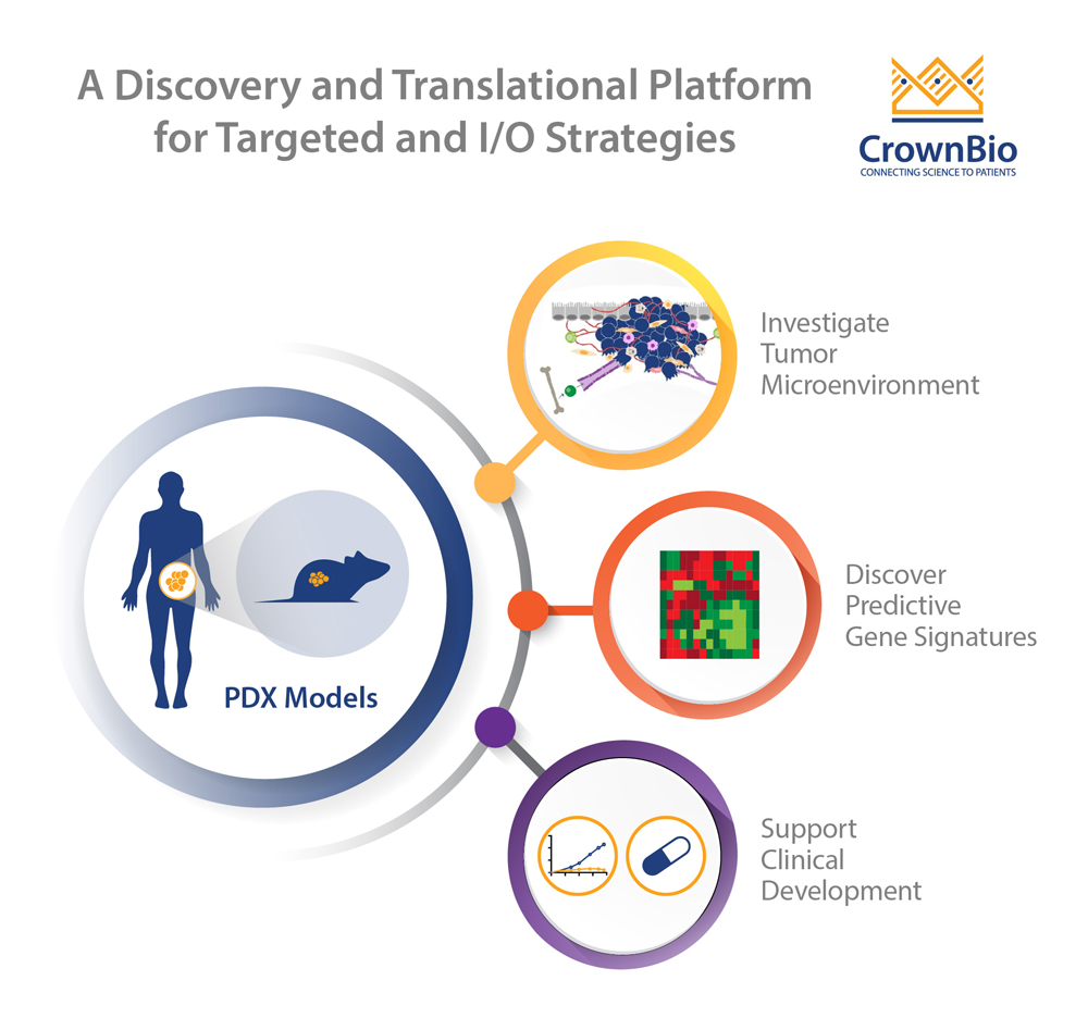 PDX模型在临床前药物开发中的新用途