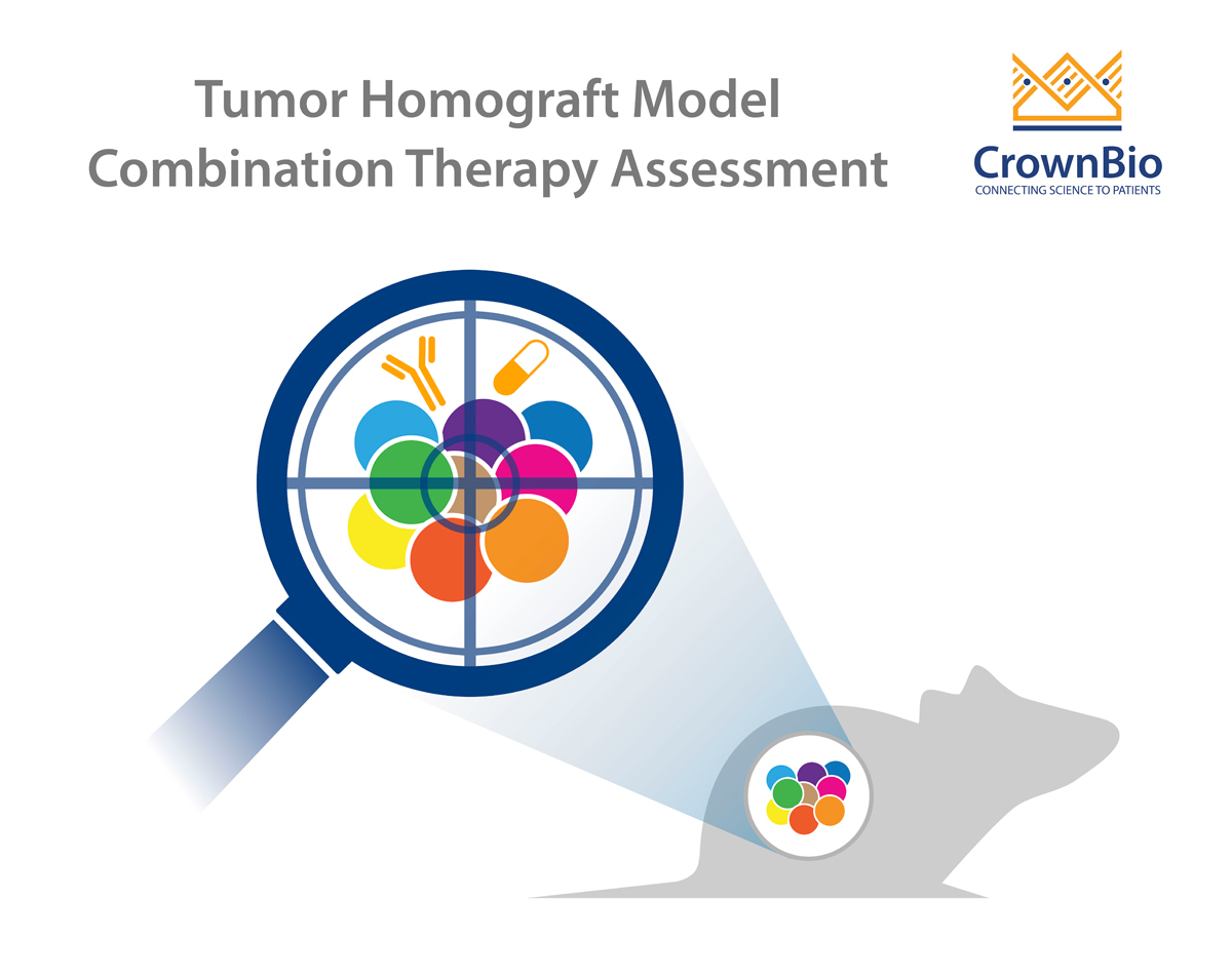 联合疗法和肿瘤同种移植模型