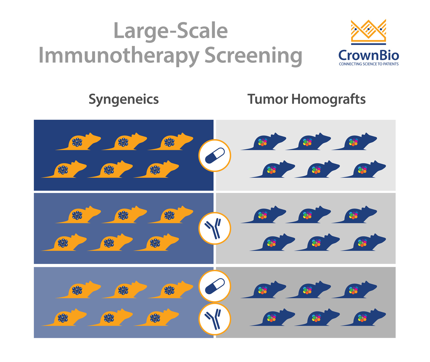 大规模免疫治疗筛查：如何以及为什么？