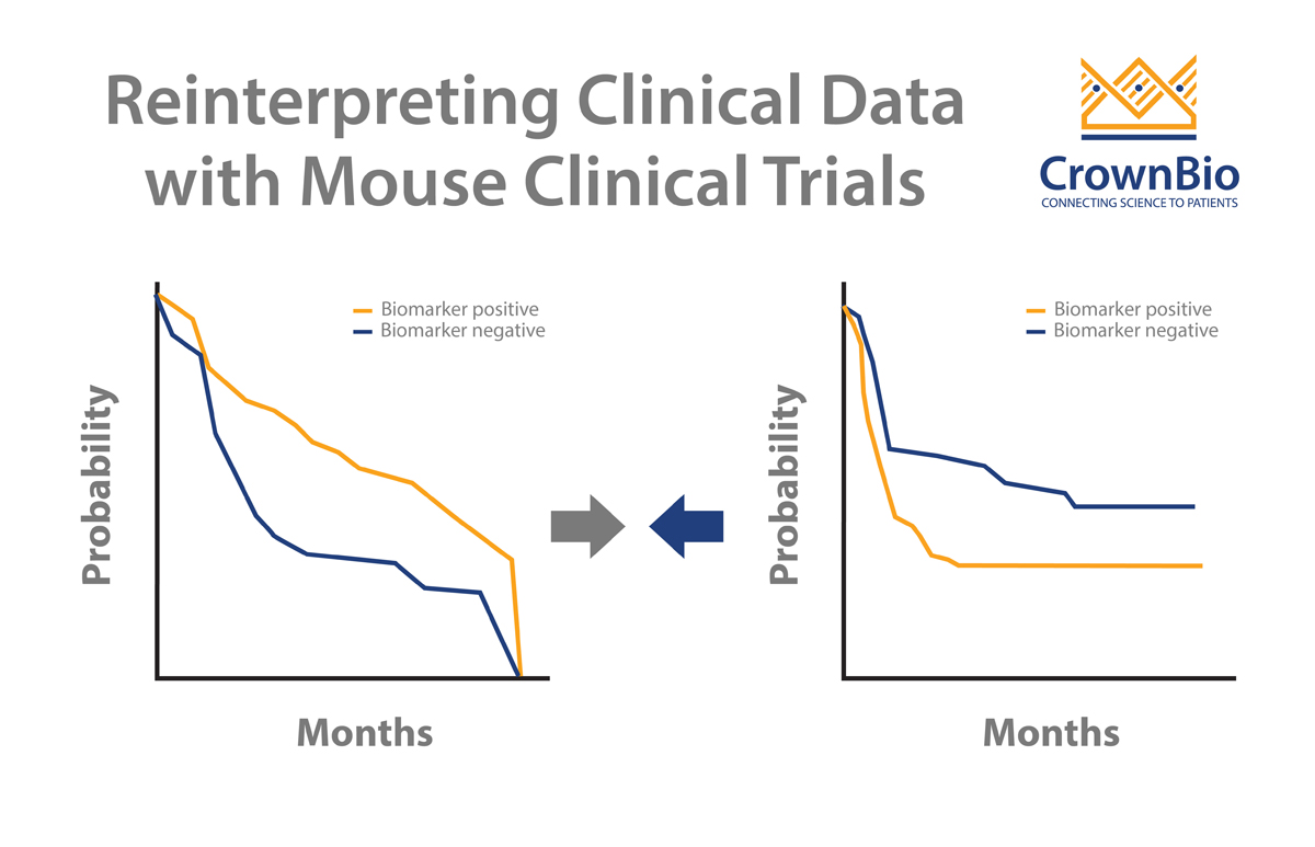 如何利用小鼠临床试验重新解读临床结果