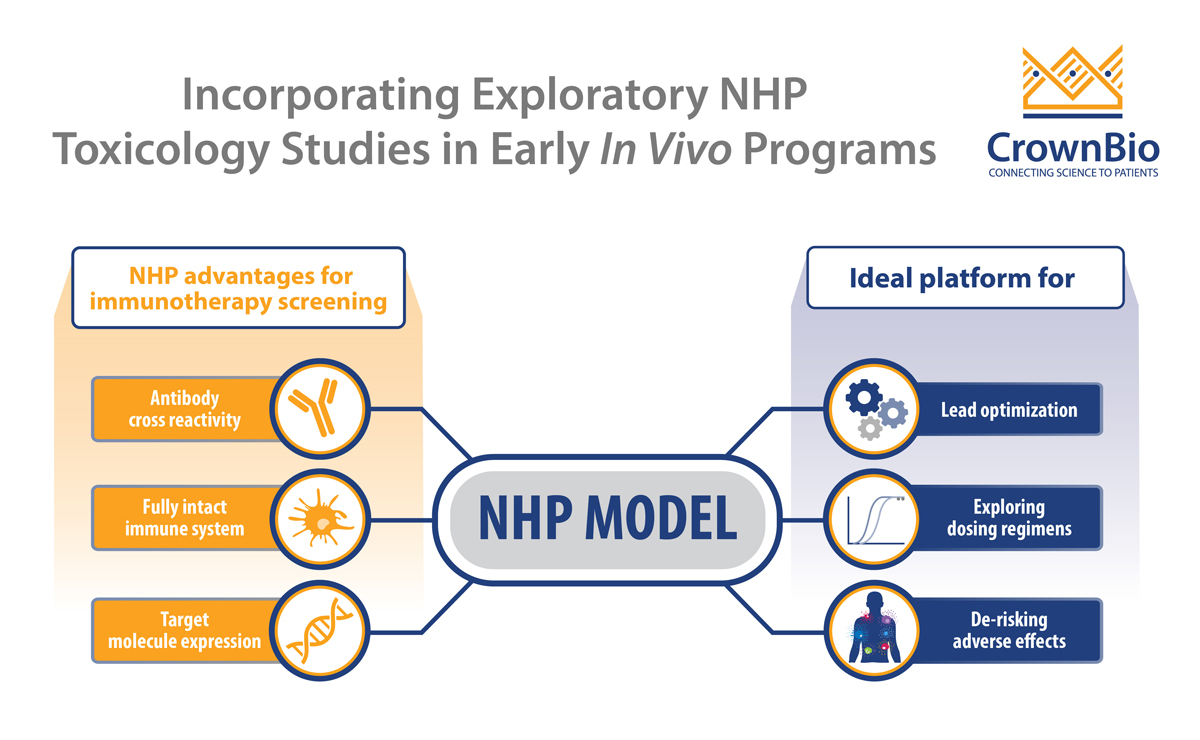 如何使用NHP模型评估免疫疗法的毒理[标题]