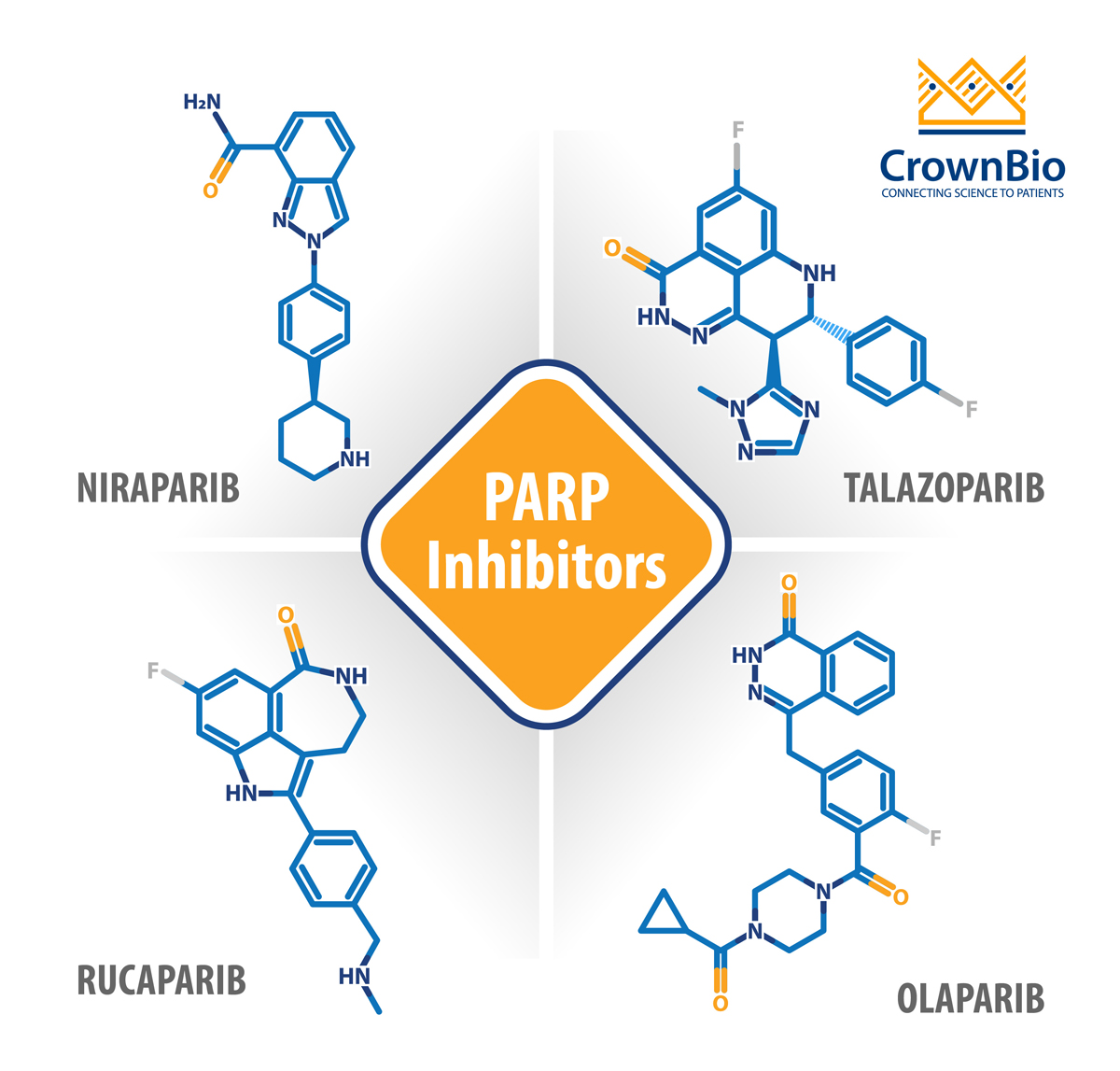 PARP抑制剂：2020年的当前状态及未来发展