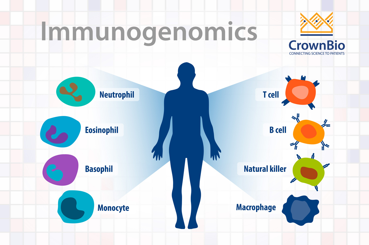 肿瘤药物开发中的免疫基因组学