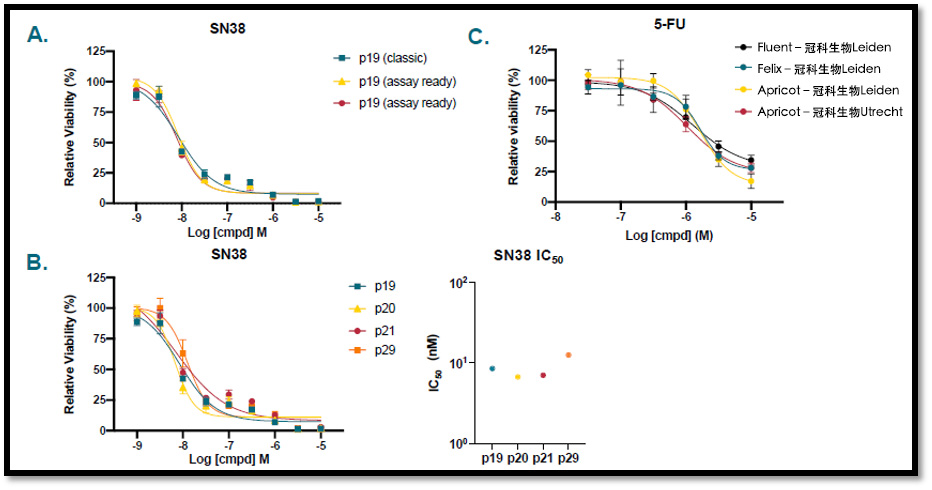 Drug sensitivity of AR organoid platform.