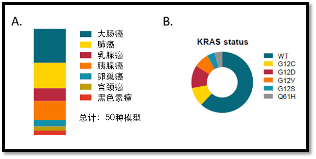 tumor-types-represented-in-the-50-PDXO-AR-organoid-platform